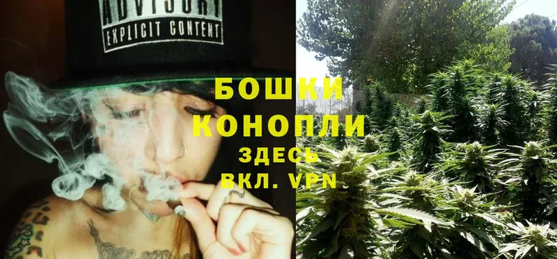 Бошки марихуана Ganja  Красноярск 